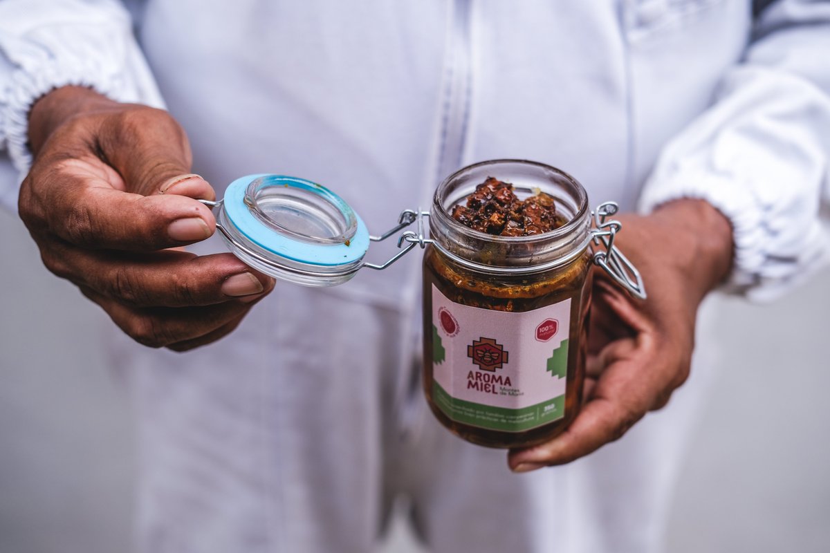 ¡Nuestras historias de éxito en <a href="/climatelinks/">Climatelinks</a> de <a href="/USAID/">USAID</a>! 

Apicultores y campesinos en Colombia están cultivando armonía entre la naturaleza y la agricultura, para mejorar sus negocios rurales y el medio ambiente. Conoce más sobre la melicultura 🐝🍯

climatelinks.org/blog/pollinate…
