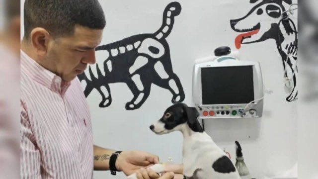 #7Ene | La Fundación de Derechos Humanos de Los Llanos (<a href="/FundehullanVzla/">Fundehullan Vzla</a>) anunció que la madrugada del #5Ene fue excarcelado José Manuel Robles, preso político detenido en la cárcel de Tocoron (Aragua).

La organización instó a las autoridades a garantizar el derecho a la salud y
