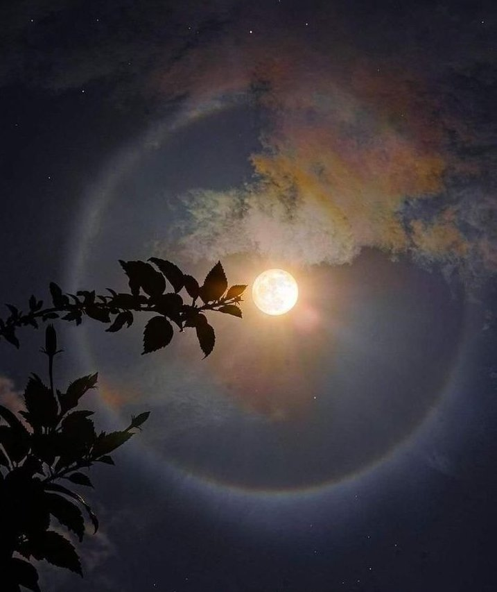300moods's tweet photo. this is for the moon lovers 🌙 https://t.co/99mpFHHTYQ
