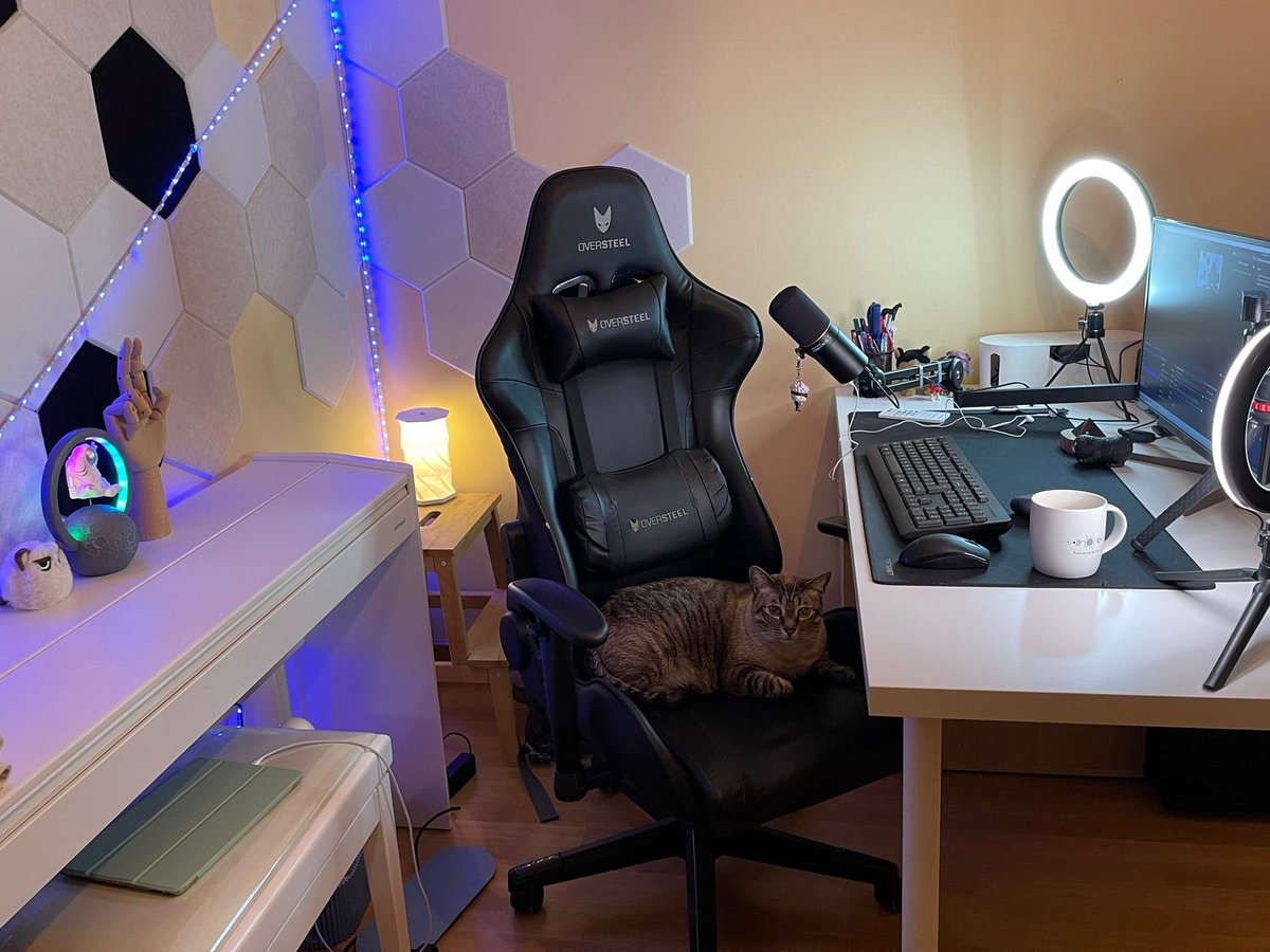 delapuentefit's tweet photo. Seguimos mejorando el stream día a día. Este mes se vienen cambios en la decoración. Vamos a echar unos Tarkov y os cuento mas. Empezamos stream! Here we gooooo https://t.co/JXz5sGTQPv #twitchstreamer #twitch #EFT #EscapefromTarkov https://t.co/7qNg889dvv