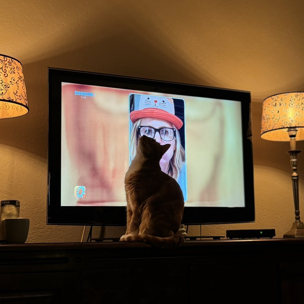 RileyBrit1's tweet photo. Ik heb een nieuw plekje gevonden! 😼#dressoir https://t.co/d62XS2LDnZ