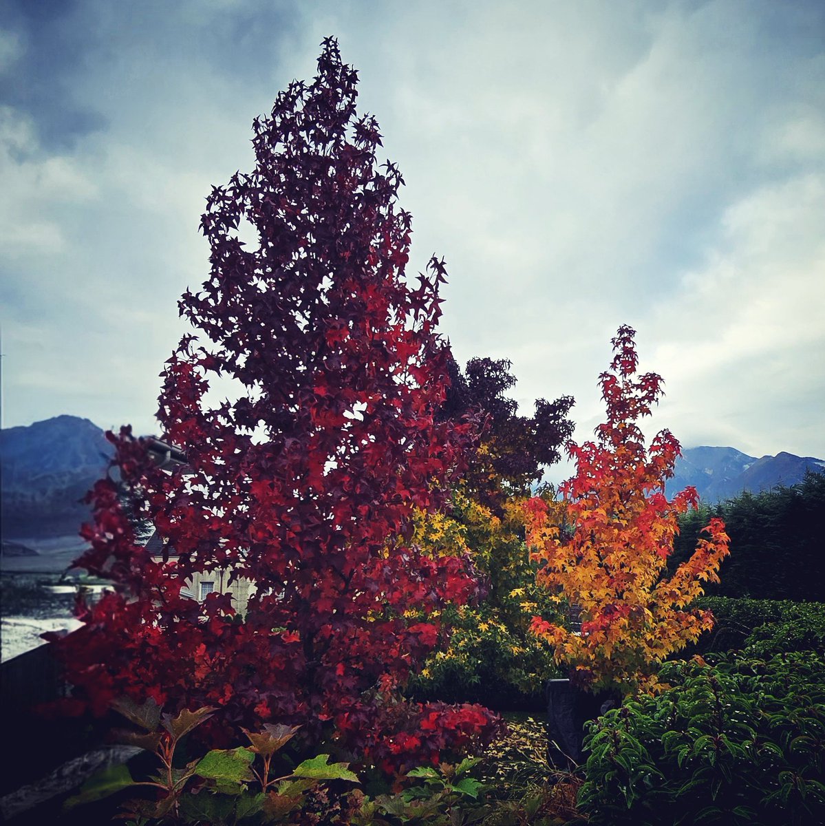 kommander61's tweet image. Ci sono silenziose assenze che sono misconosciute prove d'amore.