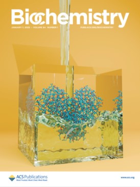 Biochemistry (@biochemistryacs) on Twitter photo New issue! 📣
Read up on biased signaling, RNA editing, gut microbes, antibiotics and more!
pubs.acs.org/toc/bichaw/64/1
Cover art: Lee & Rauscher <a href="/UofT/">University of Toronto</a> explore flexible loops in the main protease of SARS-CoV-2, with implications for drug discovery.
pubs.acs.org/doi/10.1021/ac… New issue! 📣
Read up on biased signaling, RNA editing, gut microbes, antibiotics and more!
pubs.acs.org/toc/bichaw/64/1
Cover art: Lee & Rauscher <a href="/UofT/">University of Toronto</a> explore flexible loops in the main protease of SARS-CoV-2, with implications for drug discovery.
pubs.acs.org/doi/10.1021/ac…
