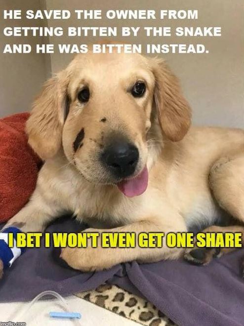 Send me some love ❤️