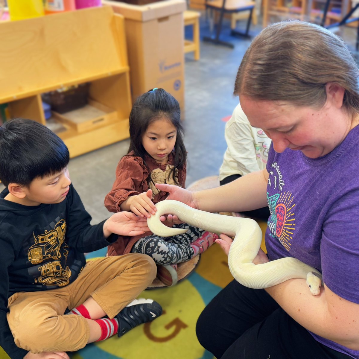 Happy New Year from GIS! Our early learners kicked off the week with Frau Parsons’ class all about snakes, in celebration of the upcoming Year of the Snake.