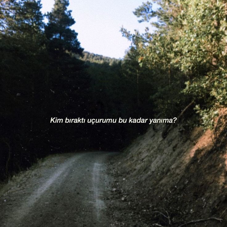 Martin Eden (@martinedengibi) on Twitter photo 