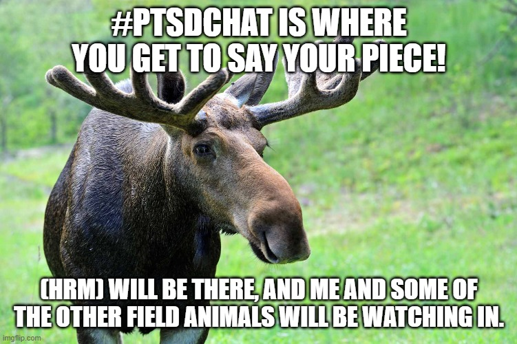 CosmicLifeOfMe's tweet photo. #PTSDChat I'm just the messenger, these guys "suggested" I post for them. #KWIM? https://t.co/03mmcIHyv1