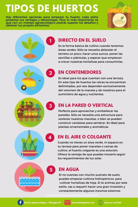 ¡Deja que este año nuevo sea el inicio de tu compromiso con el medio ambiente!
Descubre las ideas del Huerto Agroecológico de Biología UV para iniciar tu propio huerto en casa y ¡manos a la tierra!🌿🎍

📙 Consulta el manual aquí: bit.ly/3b1tQi7

#UV_Sustentable