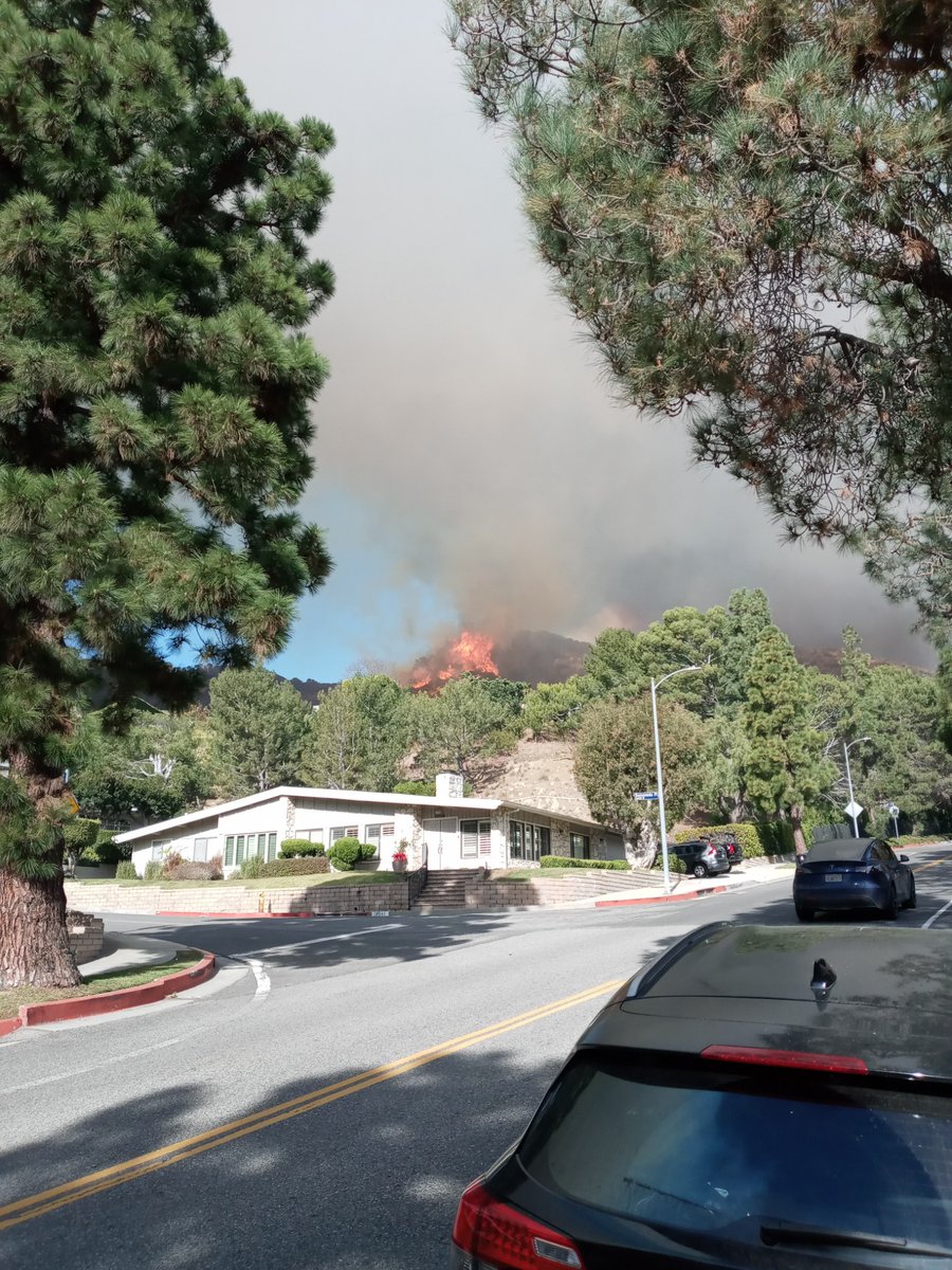 scott burt tweet media