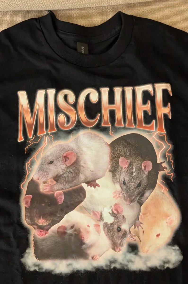 RAT✮⋆˙ tweet media