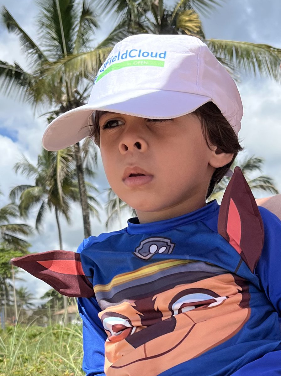 Should you bring me another hat? I think I lost mine, <a href="/QFieldCloud/">QFieldCloud 📳☁️</a>