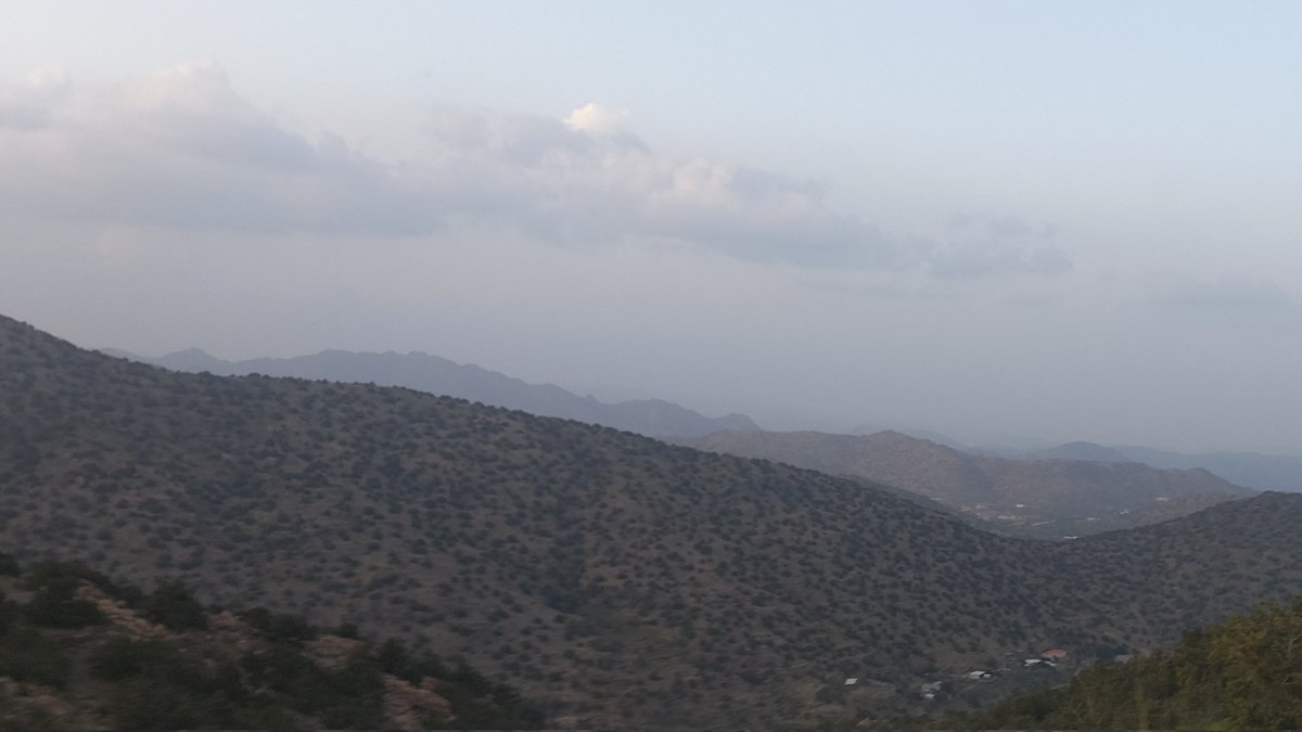 واحترت أنا ما بين باكي ومحزون

والكل منهم يشتكي من حبيبة

يا حيلة الله شغل الأيام وشلون 

كم حبيبٍ شّفّته من حبيبة

والختم بطلب من له الخلق يدعون

يقرّب حبيبٍ شوفته لي صعيبه