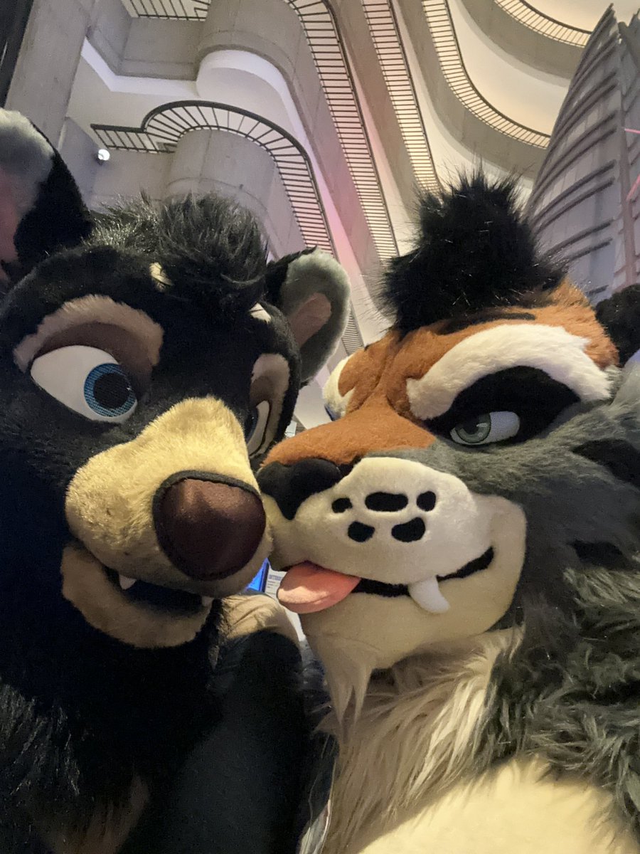 On my way to Japan for the first time. I’m going to eat all the food, and say hi to all the fuzzies at <a href="/JMoF_en/">JMoF Executive Committee</a>. Come give this big ole’ Aussie Taz and hug if you see him out and about! #JMoF2025