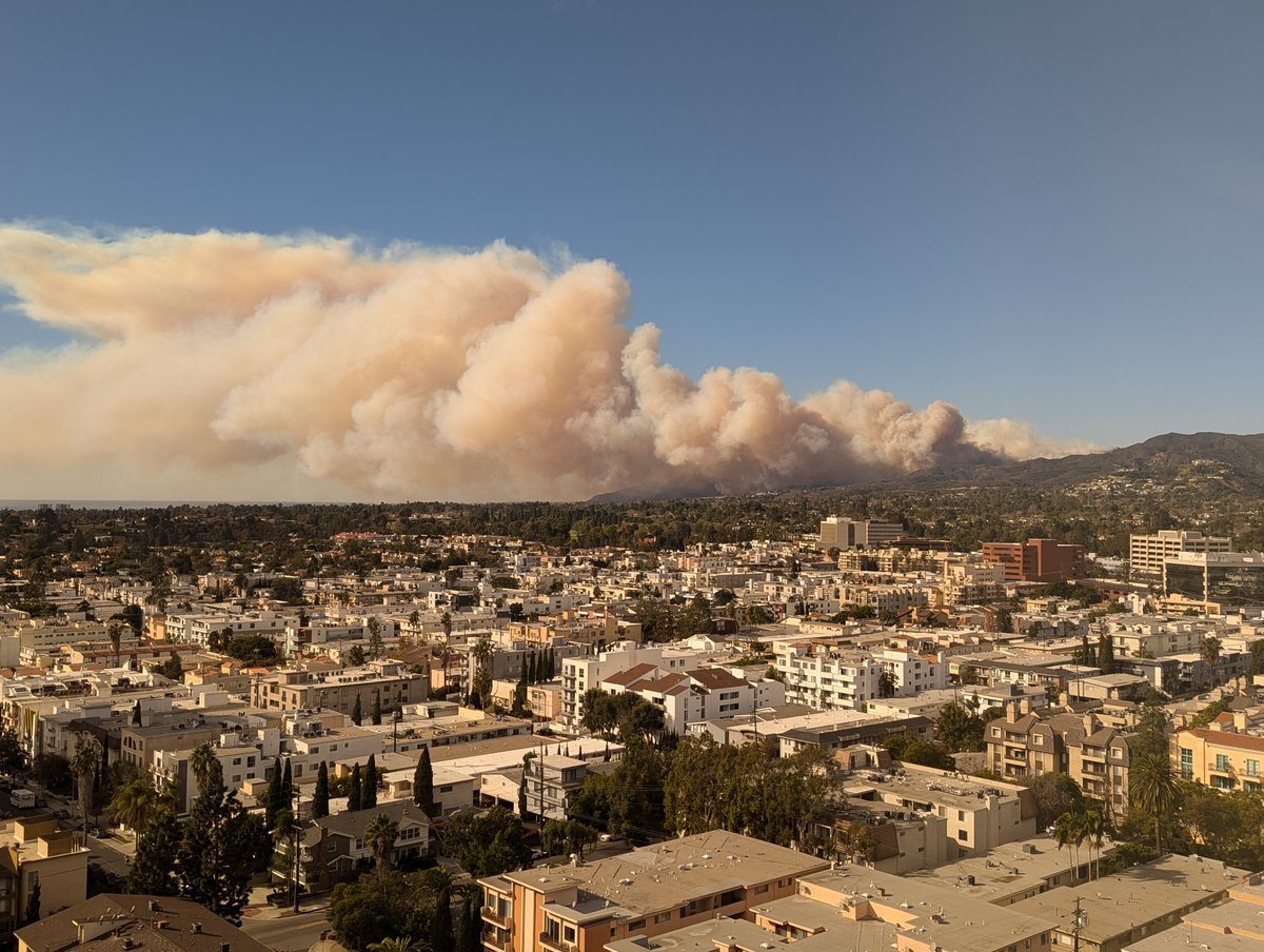 Jason Rapp tweet media