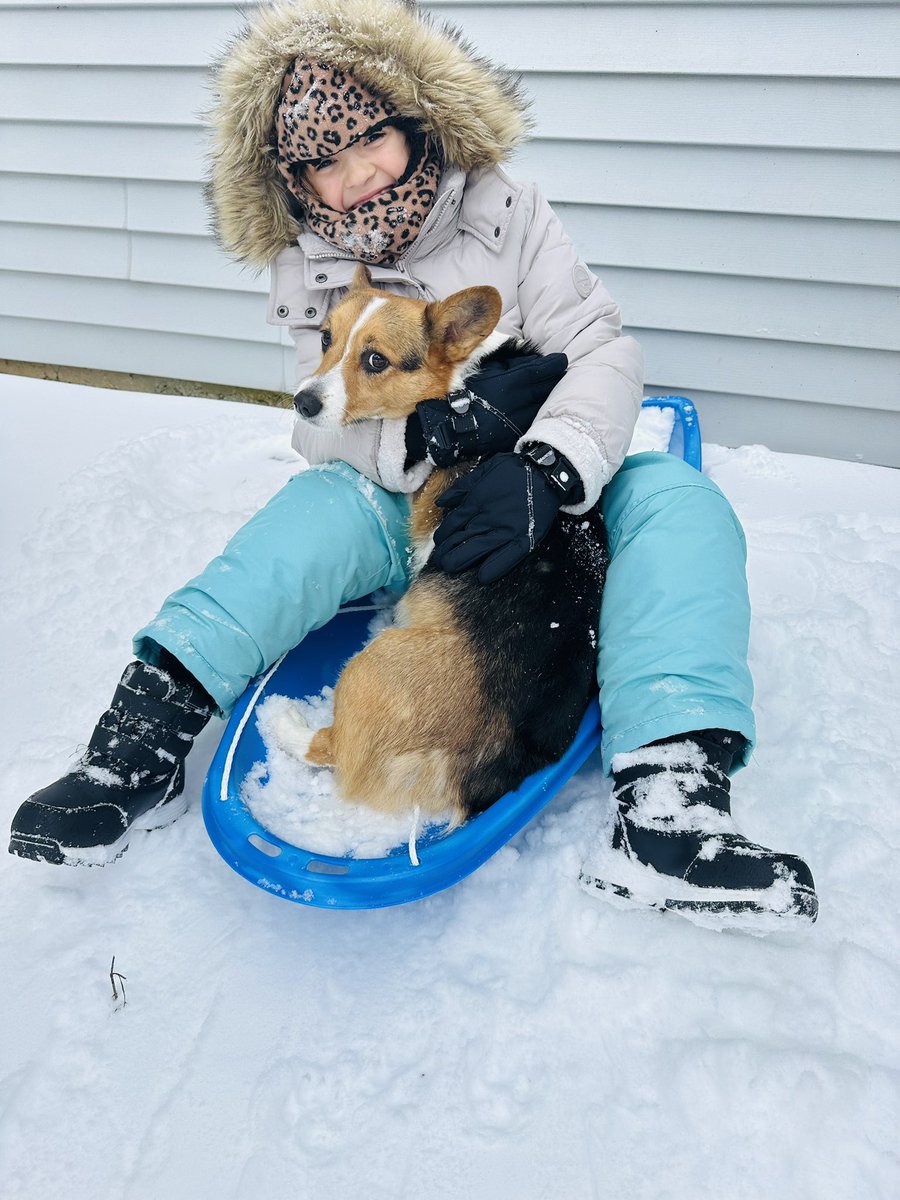 HillaryFlora's tweet photo. ❄️❄️❄️ snow day!!!! #rockwood #snowday #wearerockwood @rockwoodschools https://t.co/lMRUTP9ks0