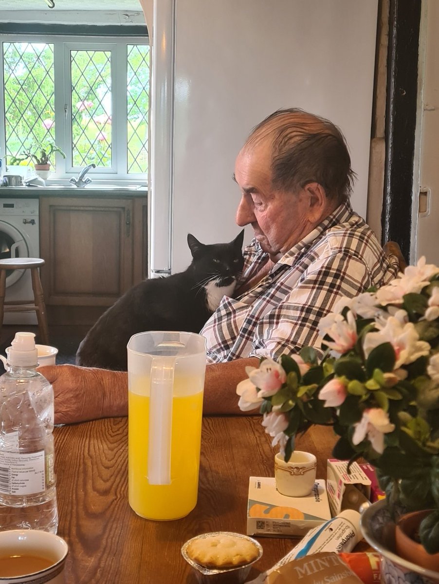 Reggie 🐰 and Maisy 😻 tweet media