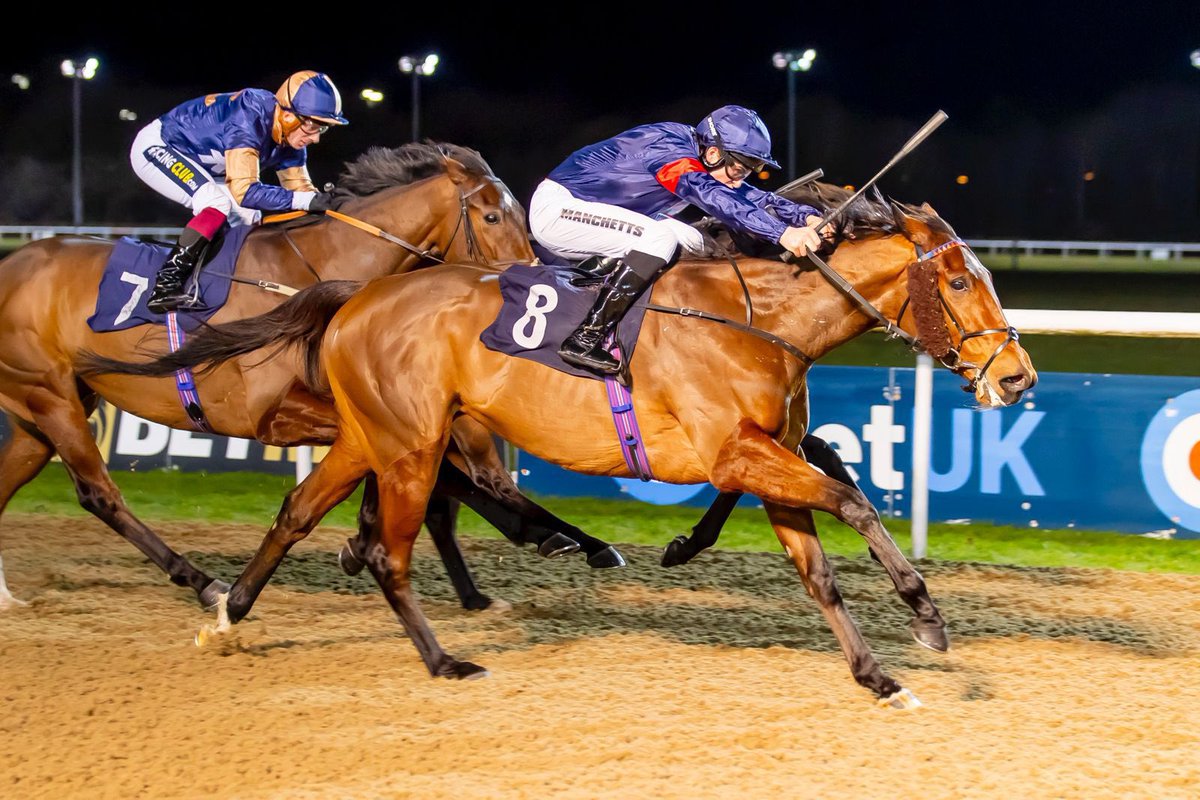 George Boughey Racing (@gbougheyracing) on Twitter photo ALFHEIM gets the hat-trick <a href="/WolvesRaces/">Wolverhampton Races</a> under <a href="/tommie_jakes/">Tommie Jakes</a> - well done to The Racing Co-Op ALFHEIM gets the hat-trick <a href="/WolvesRaces/">Wolverhampton Races</a> under <a href="/tommie_jakes/">Tommie Jakes</a> - well done to The Racing Co-Op