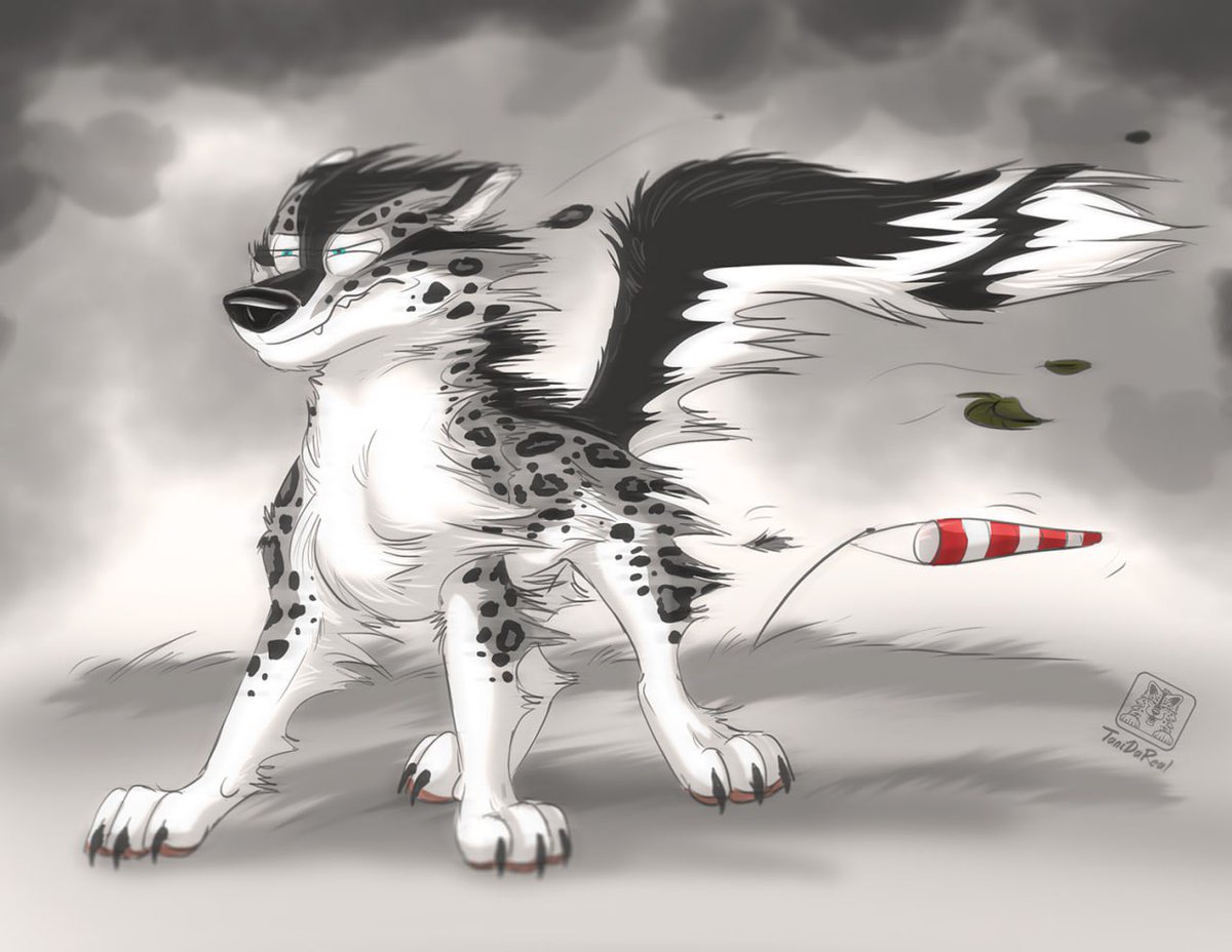 Lil‘ windy here atm 💨