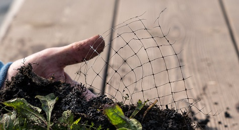 TurfProUK's tweet photo. The @TGATurfandWater is banning the use of plastic netting in turf production by its members. 🌎👏

Read more about the ban coming into play in October 2026 here. 👉 https://t.co/5QV3n4XPJ6

#Turfcare #TurfProduction #plastic #sustainability https://t.co/KPy8JAXazU