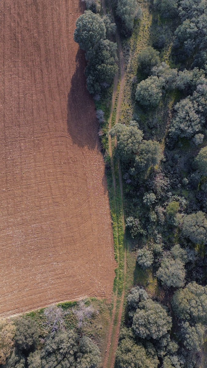 commandxdrone's tweet photo. 🎨 Colores en la Comarca de Daroca.

@aragonturismo https://t.co/jiHiC4RmsY