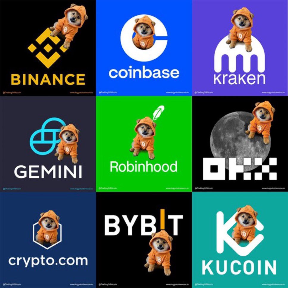 trycryptonow's tweet photo. Calling tier 1 CEXs to LIST $DOG 📢

Repost to sign the petition ☑️

@binance
   🐕List $DOG Spot
@Bybit_Official
   🐕List $DOG Spot
@okx
   🐕List $DOG Spot
@coinbase
   🐕List $DOG Spot
@kucoincom
   🐕List $DOG Spot
@krakenfx
   🐕List $DOG Spot
@HTX_Global
  🐕List $DOG Spot https://t.co/Se38B5GwV9