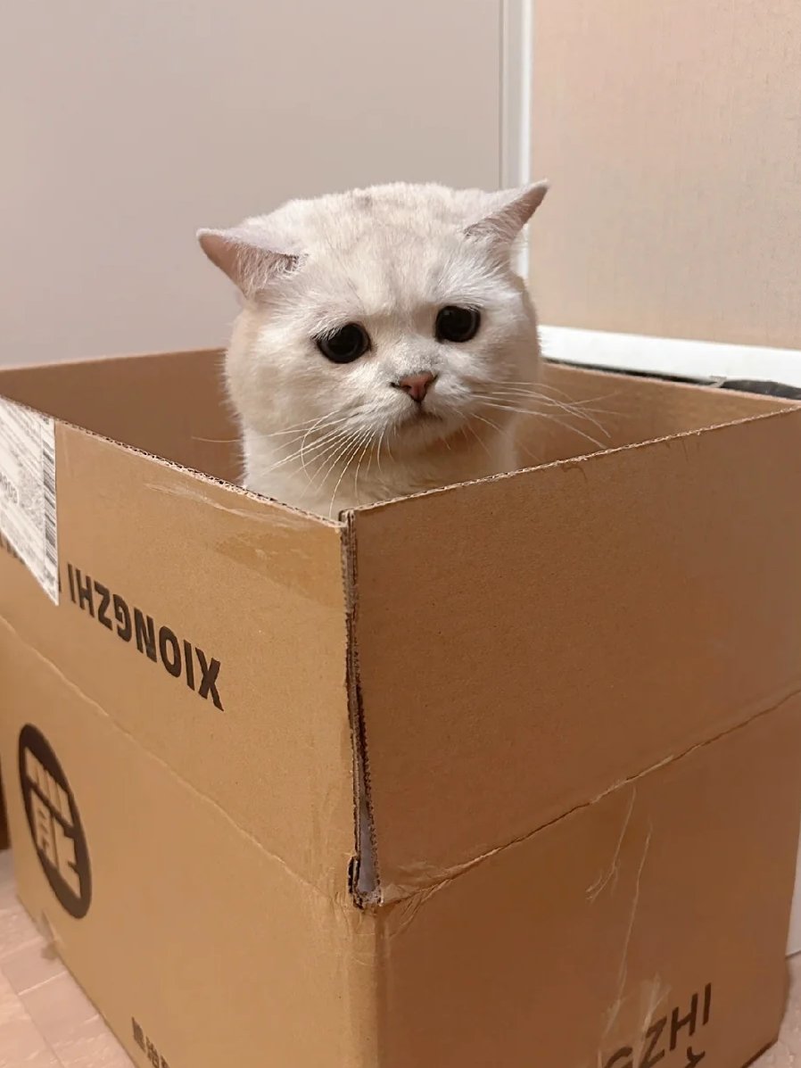 いじめられやすそうでした
脳死させられてはやりきれない