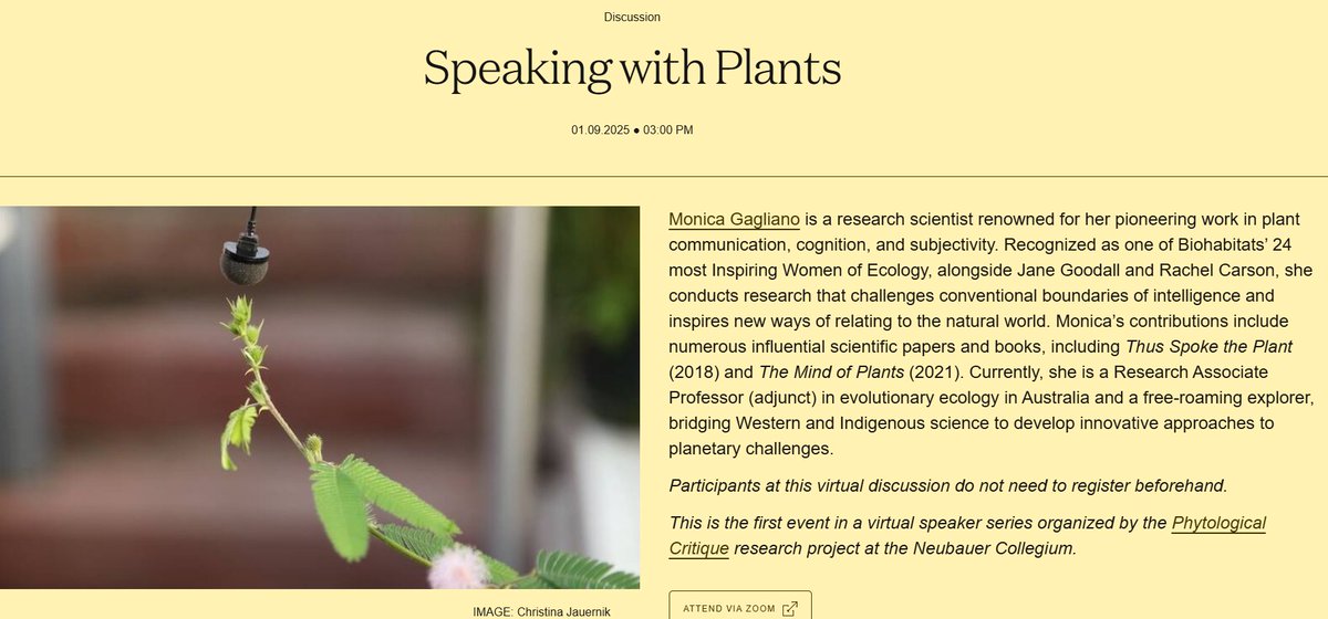 Free webinar with Monica Gagliano <a href="/GaglianoMonic/">MonicaGagliano</a>  - Speaking with Plants, Jan 9, 2025, 3-4:30 pm CST.  Participants at this virtual discussion don't need to register beforehand. Event organized by <a href="/UChiCollegium/">Neubauer Collegium</a>'s Phytological Critique research project. neubauercollegium.uchicago.edu/events/speakin…