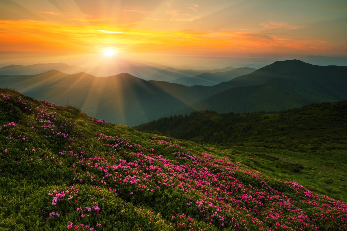 BethFratesMD's tweet image. "Do the difficult things while they are easy and do the great things while they are small. A journey of a thousand miles must begin with a single step." Lao Tzu 🌺

#Tuesday #tuesdaymotivations #quote #JoyTrain