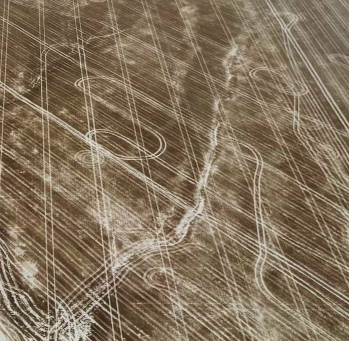 Than Hartsock tweet media