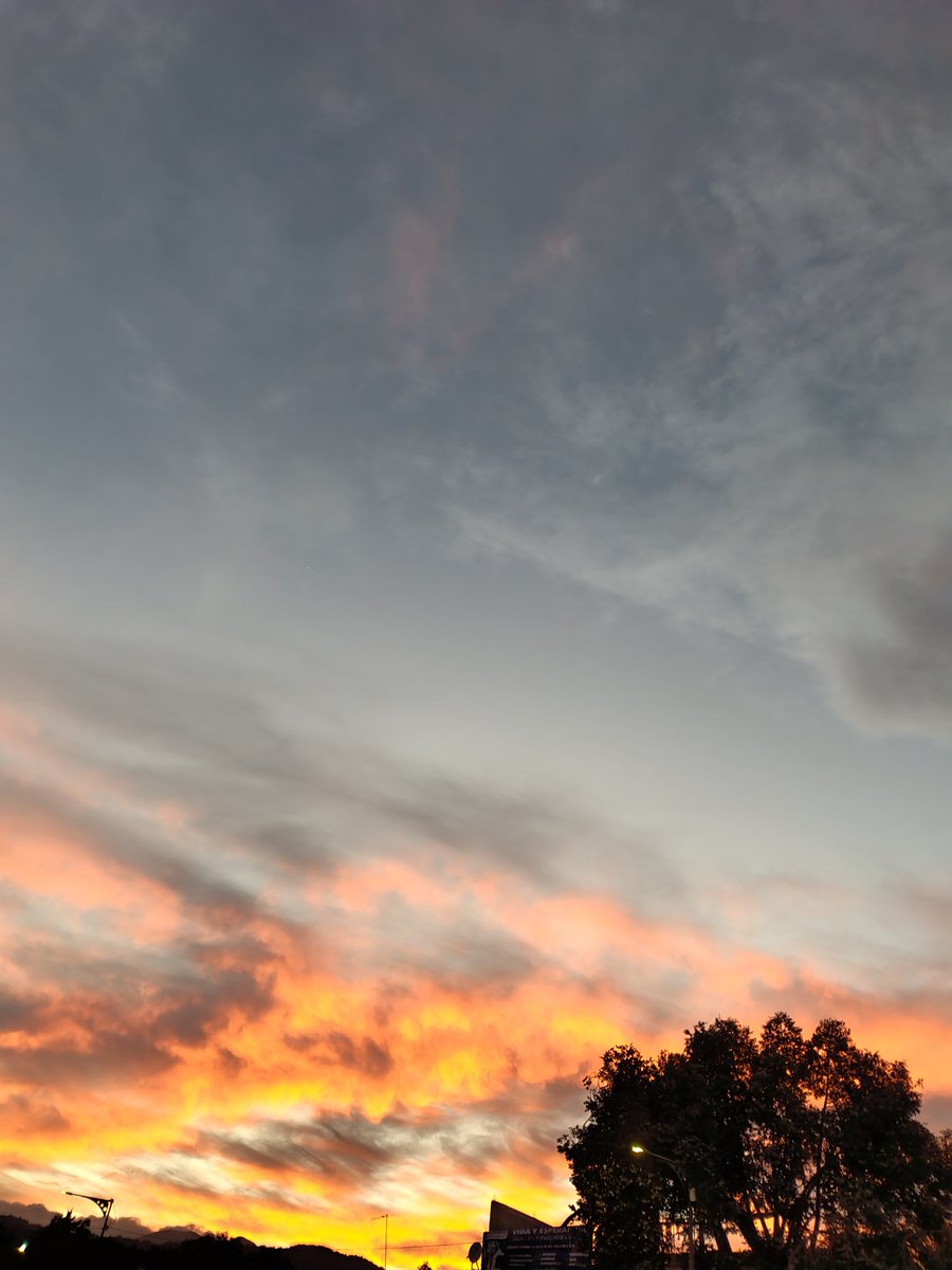 itaeorg's tweet image. 