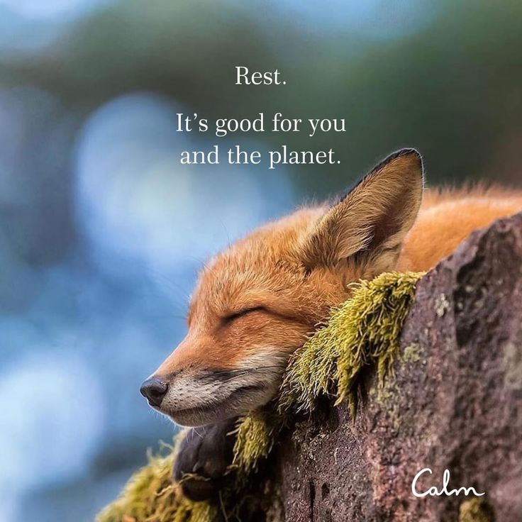 Rest.
It's good for you and the planet.