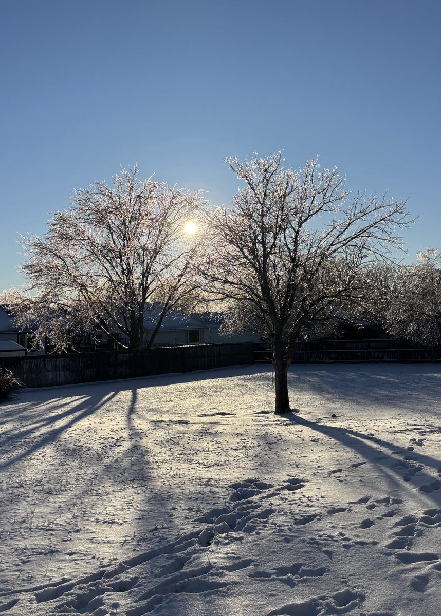 Seth Nesmith tweet media