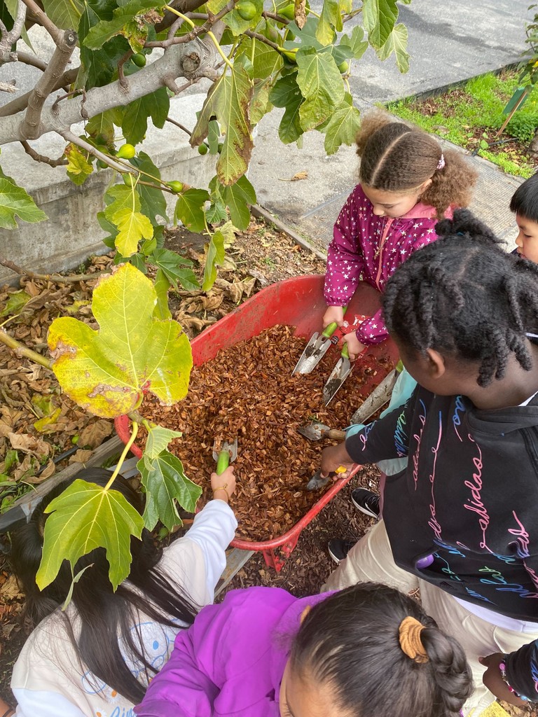 CommunityGrows tweet media