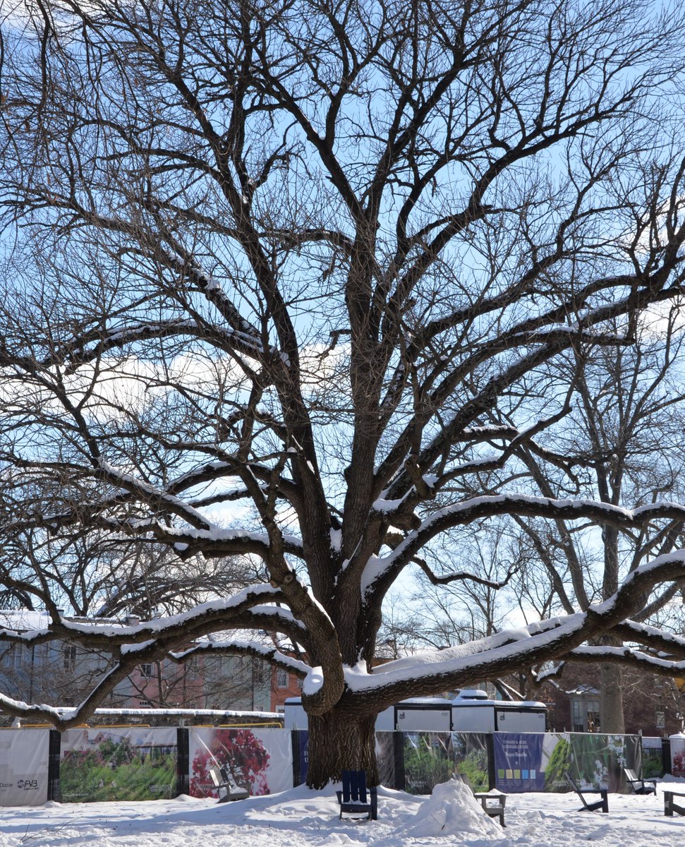 Georgetown University College of Arts & Sciences tweet media