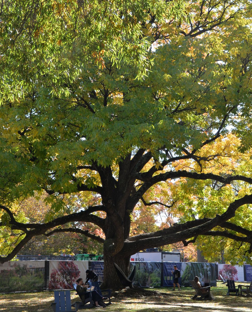 Georgetown University College of Arts & Sciences tweet media