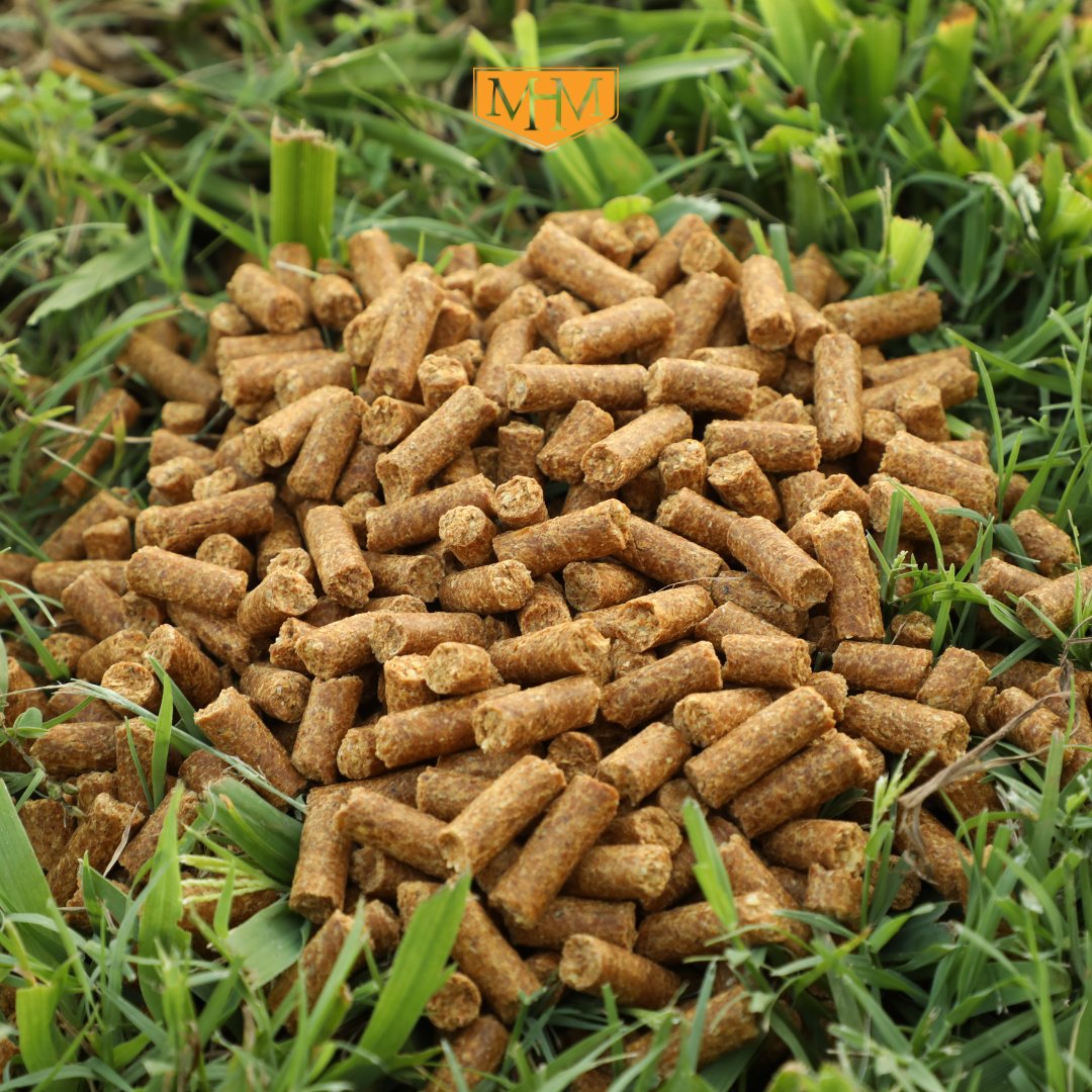 MH_Milling's tweet photo. DDG has been a proven staple in confined feeding operations for years. MHM's 100% DDG cubes and pellets offer an efficient way to bring those same benefits to cattle on pasture.

#masterhandmilling #bycattlemenforcattlemen #revolutionizetherange #ddgcubes #rangecubes #cattlefeed https://t.co/lNyLOwO6BF