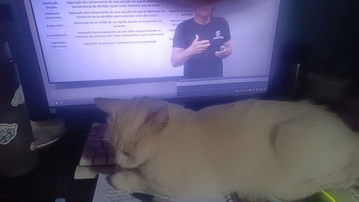 studyleoo's tweet image. Como estuda assim