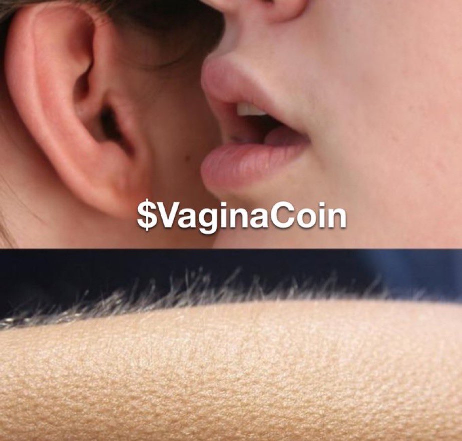 saint_jawn_'s tweet photo. @RealKhalilU depends on if I take my 10K in #vaginacoin because that’s huge if true

8tiEUhY1FWEdsU4hCSfW99QvBCHKevL35hUxEPYYpump https://t.co/XfE5hCCqRS