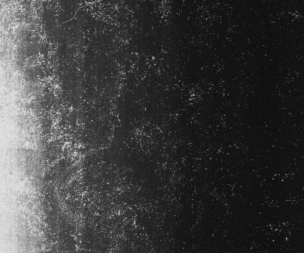 swzydzn's tweet image. 4k scans textures: