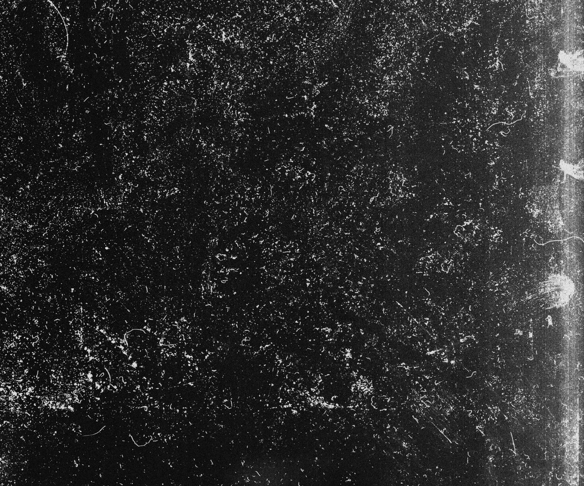 swzydzn's tweet image. 4k scans textures: