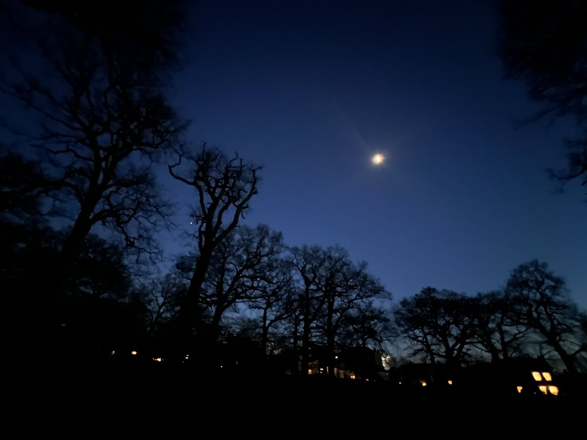 Most magical walk just before sunset in Richmond Park. Was very lucky to see these two magical beauties in the sky either side of the moon. Trying to figure out which planets they both are? Venus on the right? Saturn on the left? Any star/planets experts out there who can help?