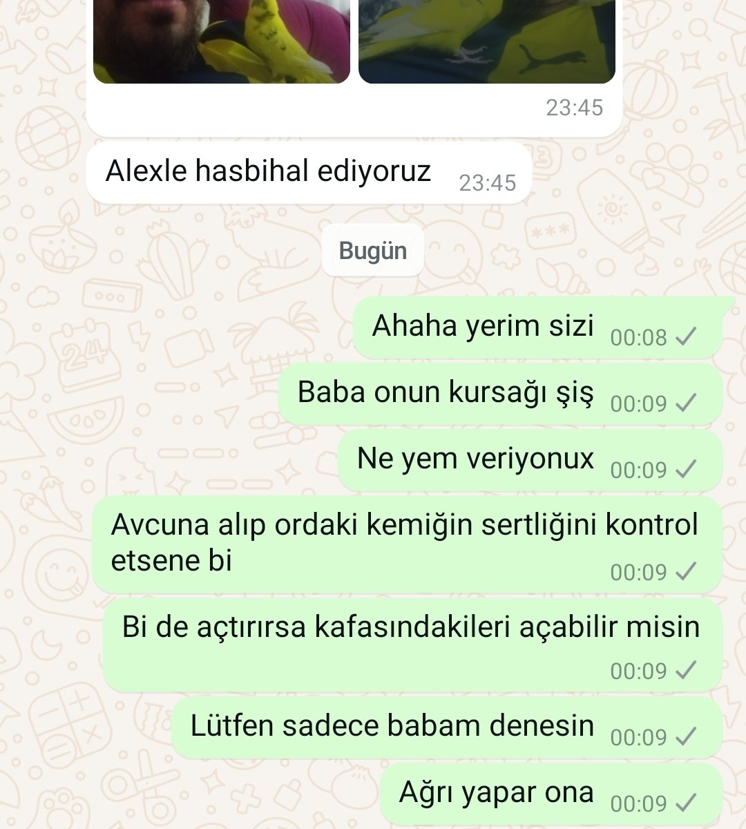 Benim analık işin içindeki babama bile ne yapacağını söyletiyor