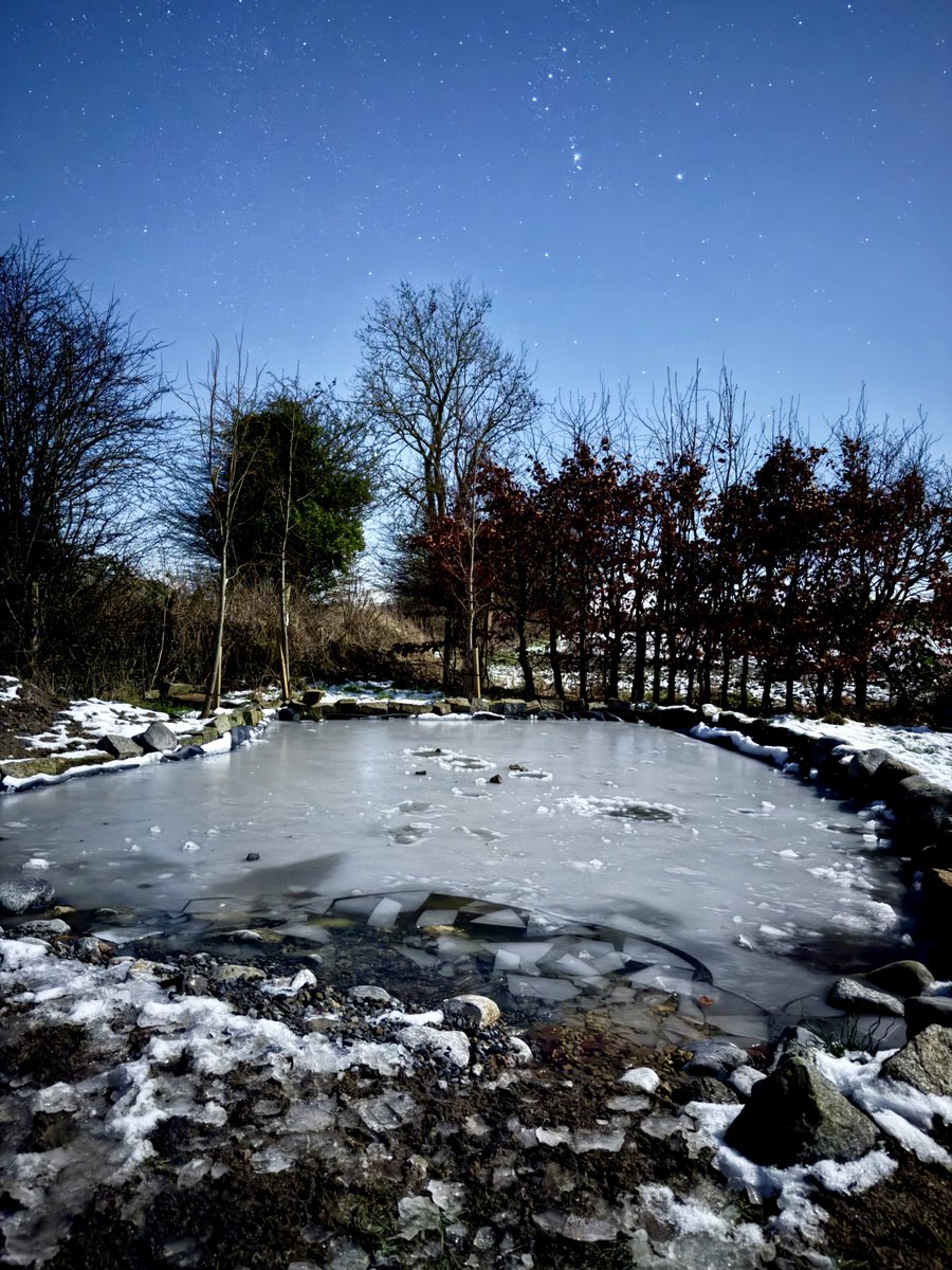 Carlow Weather tweet media