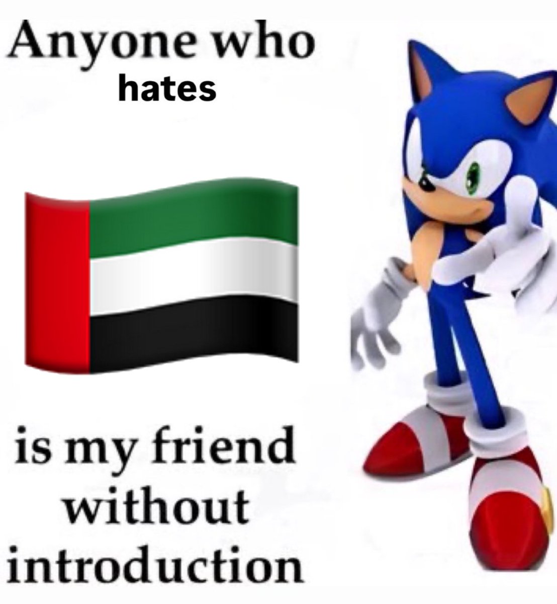 FoundHedgehog's tweet photo. حابب الفت نظرك كمان إلى إنه في حوالي 61 ألف انسان اتقتلوا في السودان بسبب مليشيات الدعم السريع المدعومة من الامارات. https://t.co/IEPVm7RDew