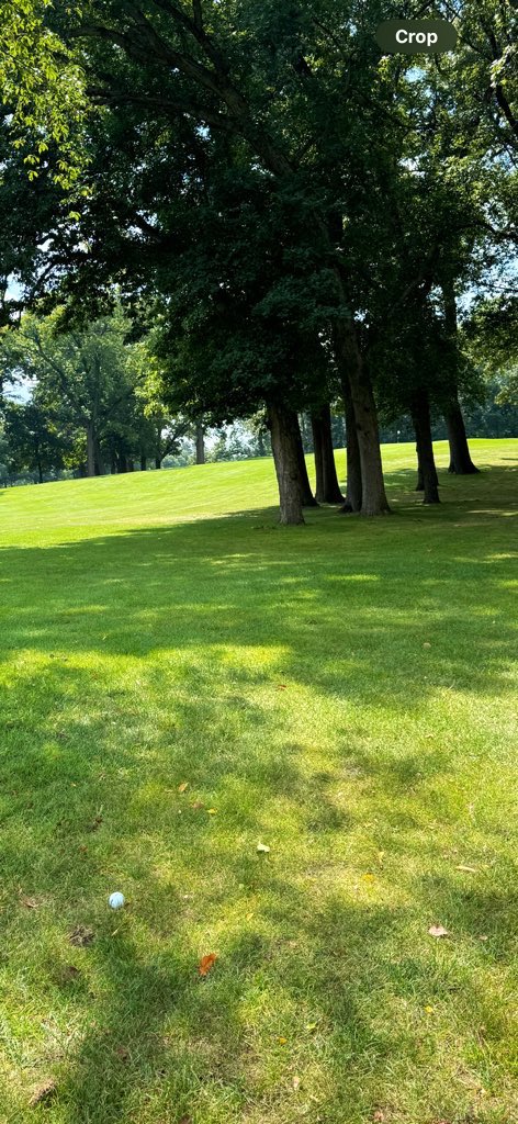 Lincoln Slagel tweet media