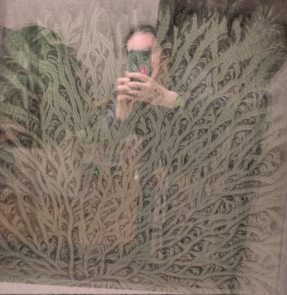 Eisblumen am Fenster
Wonderful frosty flowers on the outside of our triple glazed roof window