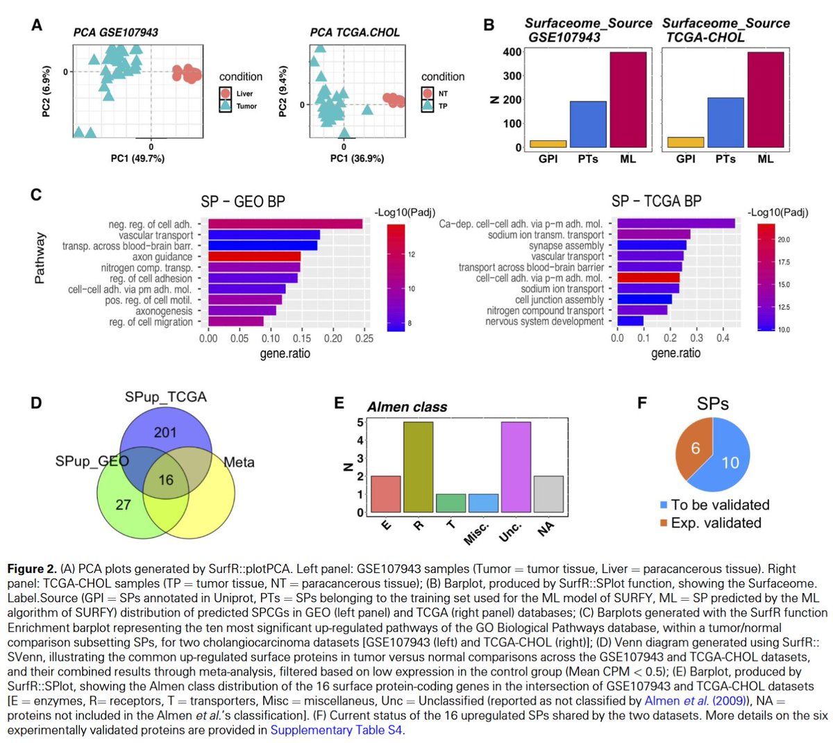 🧬 "SurfR: Riding the wave of RNA-Seq data with a comprehensive Bioconductor package to identify Surface Protein Coding Genes" introduces SurfR, an R package enabling streamlined analysis of surface protein genes from #RNASeq data. Read more: doi.org/10.1093/bioadv… #DataAnalysis