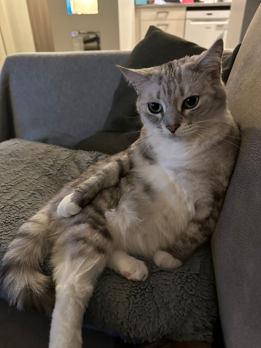 My pussy is sexy.