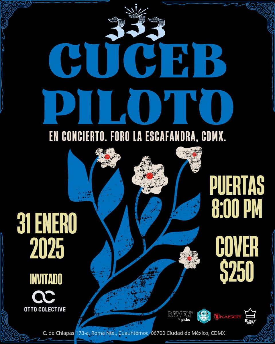 Cuceb333Piloto tweet media