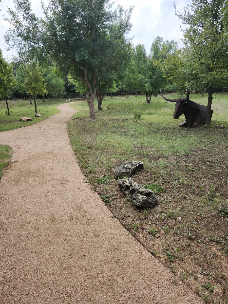 OnAClearPath's tweet image. The best thing about returning to the office this week is the great rapport I have with my coworkers. 
Second best, the walking path around our building. 
Metal Longhorns as we're in Austin Texas!